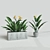 Crane Flower: Elegant Evergreen Perennial 3D model small image 1