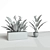 Crane Flower: Elegant Evergreen Perennial 3D model small image 2