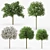 Tropical Hibiscus Tree: Stunning 3D Model 3D model small image 1