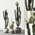 Desert Oasis Cactus Set 3D model small image 1