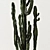Desert Oasis Cactus Set 3D model small image 2