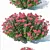Versatile Spirea: 3 Sizes 3D model small image 3