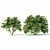 Jatropha Multifida Plant: Complete Production Solution 3D model small image 3