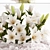 Citrus Bouquet with White Flowers 3D model small image 2