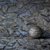 Seamless Stone Texture, 6000x4000 3D model small image 1