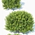 Versatile 11th Gen Buxus 3D model small image 2