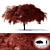 Japanese Maple Tree - Acer palmatum Garnet 3D model small image 1