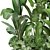 Tropical Plant Collection: Bananas, Monstera & More 3D model small image 2