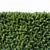 Premium Modular Hedge: Taxus Baccata 3D model small image 2