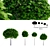 Mini Catalpa Nana Tree | Compact and Elegant 3D model small image 1