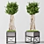 Elegant English Ivy Topiary: Perfect Green Accent 3D model small image 2