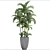 Exotic Areca Palm Seeds 3D model small image 3