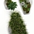 Indigenous Steen: 132 Plant Collection 3D model small image 2