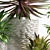 3D Plants Collection - 206 Varieties 3D model small image 2