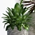 3D Plants Collection - 206 Varieties 3D model small image 3