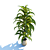 Evergreen Plant: 3Dmax & Vray 3D model small image 1