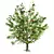 Title: Exquisite Rowan Tree: Bring Nature Home 3D model small image 1