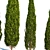 Mediterranean Cypress - Various Heights 3D model small image 2