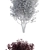 Plum Tree | Prunus cerasifera 'Pissardii' 3D model small image 2