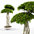 Lush Ficus Retusa: Realistic 3D Model 3D model small image 2