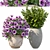 Vibrant Petunia Bushes 3D model small image 1