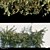 Elegant English Ivy for Any Space 3D model small image 1