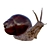 Mini Snail Figurine for Collectors 3D model small image 1