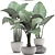 Exotic White Pot Alocasia 3D model small image 3