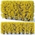 Versatile Forsythia Hedge: 180cm Height 3D model small image 1