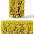 Versatile Forsythia Hedge: 180cm Height 3D model small image 2