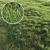 Lush Green Grass-Plot Kit 3D model small image 2