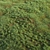 Lush Green Grass-Plot Kit 3D model small image 3