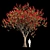 Flamboyant Beauty | Delonix Regia 3D model small image 1
