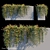 Versatile Ficus Pumila: Russian Translation Available 3D model small image 1