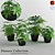 Designer Aralia and Sheflera Collection 3D model small image 1