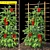 Green Oasis: 216 Botanical Beauties 3D model small image 1