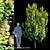 Golden Spirit Cotinus: Multistem Beauty 3D model small image 1