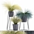 Exotic Tussock Grass Collection 3D model small image 1