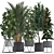 Exotic Indoor Plants: Schefflera, Oleander, Howea, Kentia, Monstera 3D model small image 1