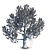 Magnolia Grandiflora: Mature Beauty 3D model small image 2