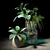 Lush Greenery Trio in Modern Vases 3D model small image 1