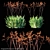 Amber Velvet Kangaroo Paw 3D model small image 1