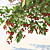 Cherry Delight - Prunus Avium Tree 3D model small image 3