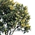 Silky Oak Brown | Vertex Color-Compatible 3D model small image 2