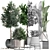 Exotic Plant Collection: Banana Palm, Ravenala, Lime 3D model small image 3