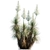 Elegant Beaked Yucca: Vibrant Variation 3D model small image 2