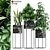 Exquisite Plants Collection MAIA 3D model small image 1