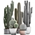 Exotic Cactus Collection - 300 Plants 3D model small image 3