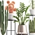 Exotic Plant Collection: Cactus Set 3D model small image 2