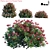 Vibrant Pieris Japonica Forest Flame 3D model small image 1